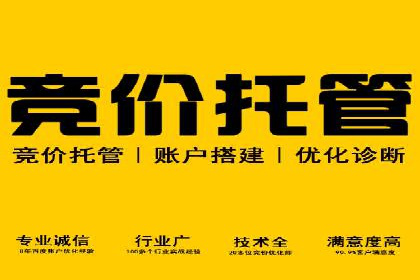 某公司SEM竞价专员的成长之路与案例
